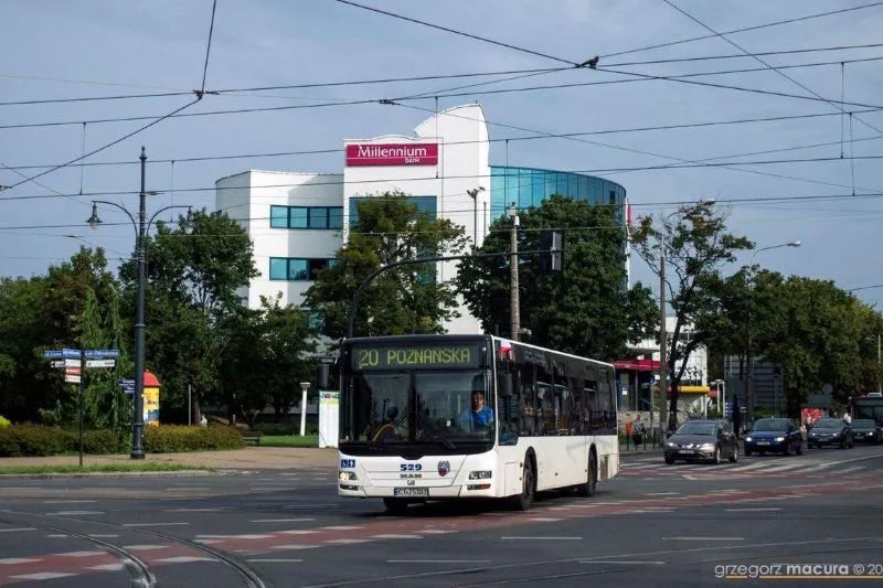 MAN Lion’s City w Toruniu – nowoczesne autobusy w komunikacji miejskiej