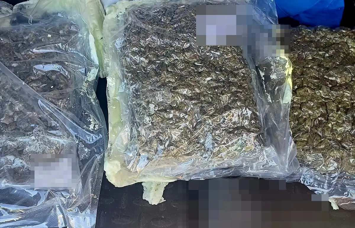 Zatrzymany 41-latek poszukiwany przez sąd z dużą ilością marihuany