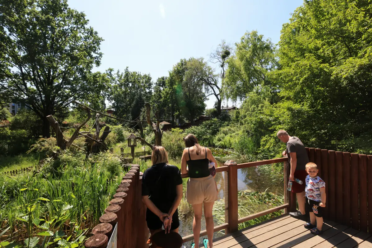 Edukacyjne zajęcia w Ogrodzie Zoobotanicznym w Toruniu