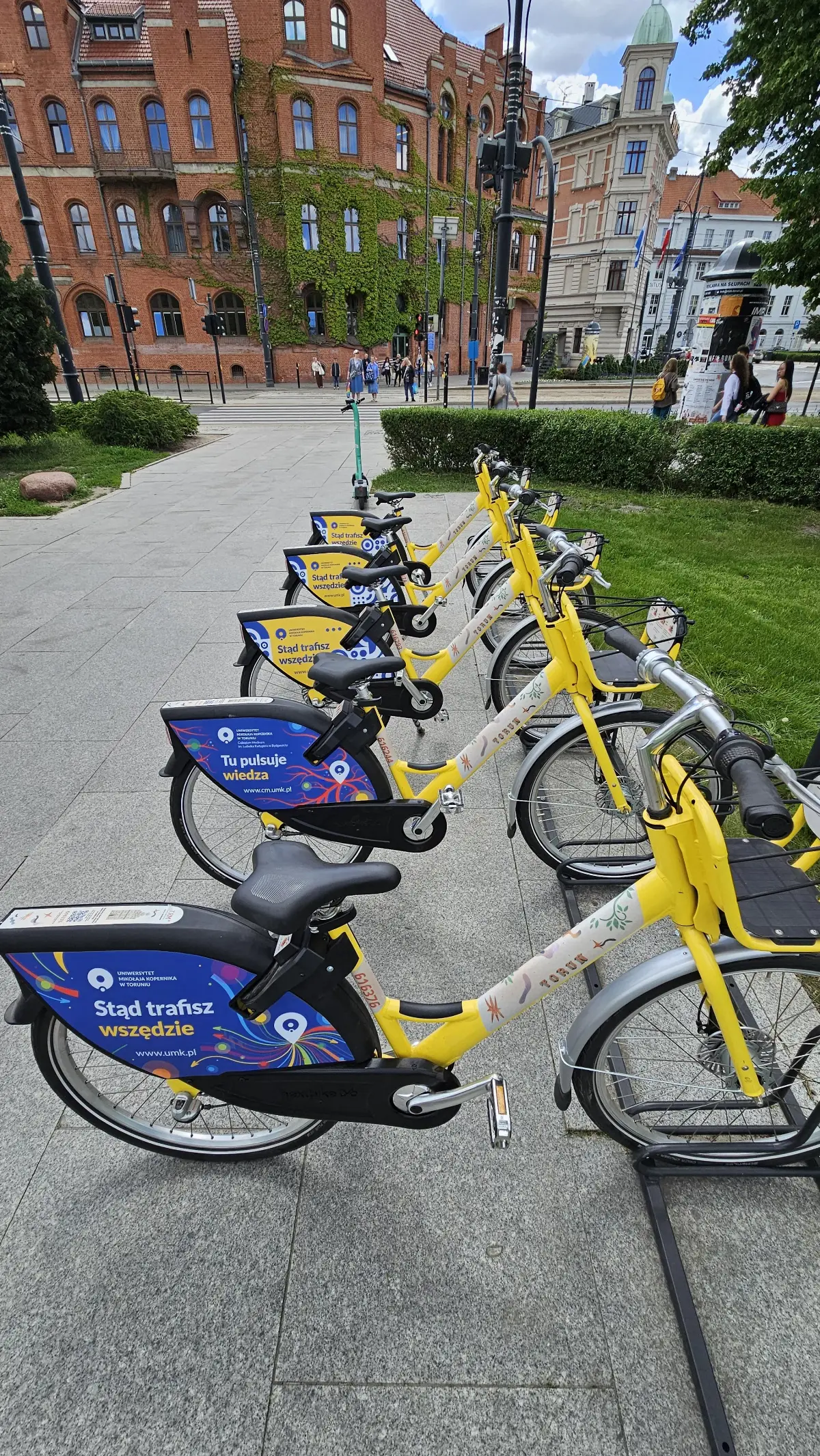 Konsultacje społeczne dotyczące infrastruktury rowerowej w Toruniu