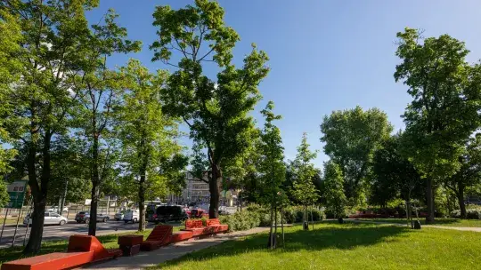 Ostrzeżenie przed upałem w Toruniu