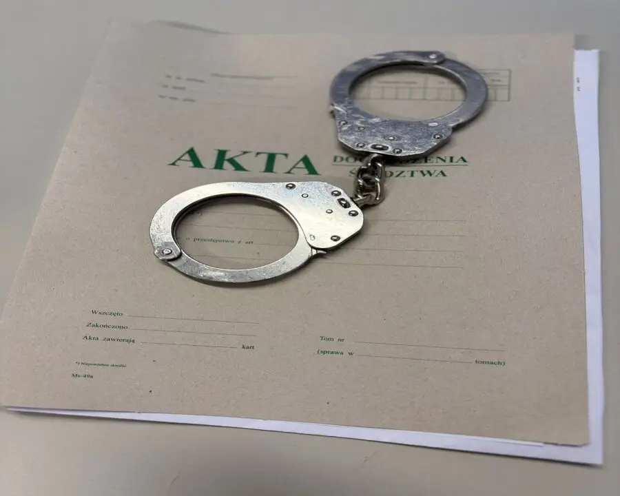 Włamywacz zatrzymany przez policję z wieloma zarzutami